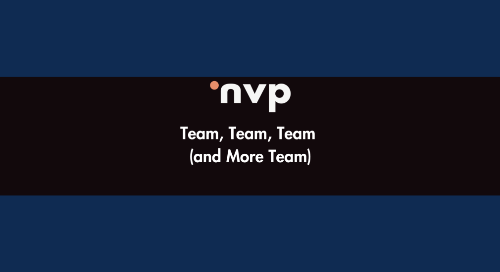 nvp capital blog on team dynamics